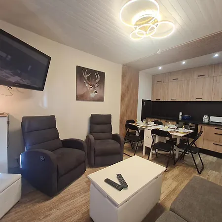 Apartment Lauvitel - J6 - Appt Pres Des Pistes 6 Pers Les Deux Alpes